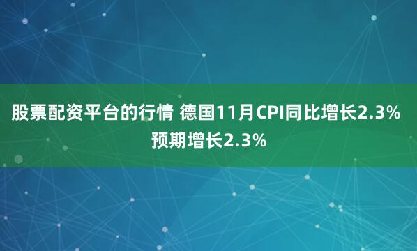 股票配资平台的行情 德国11月CPI同比增长2.3% 预期增长2.3%